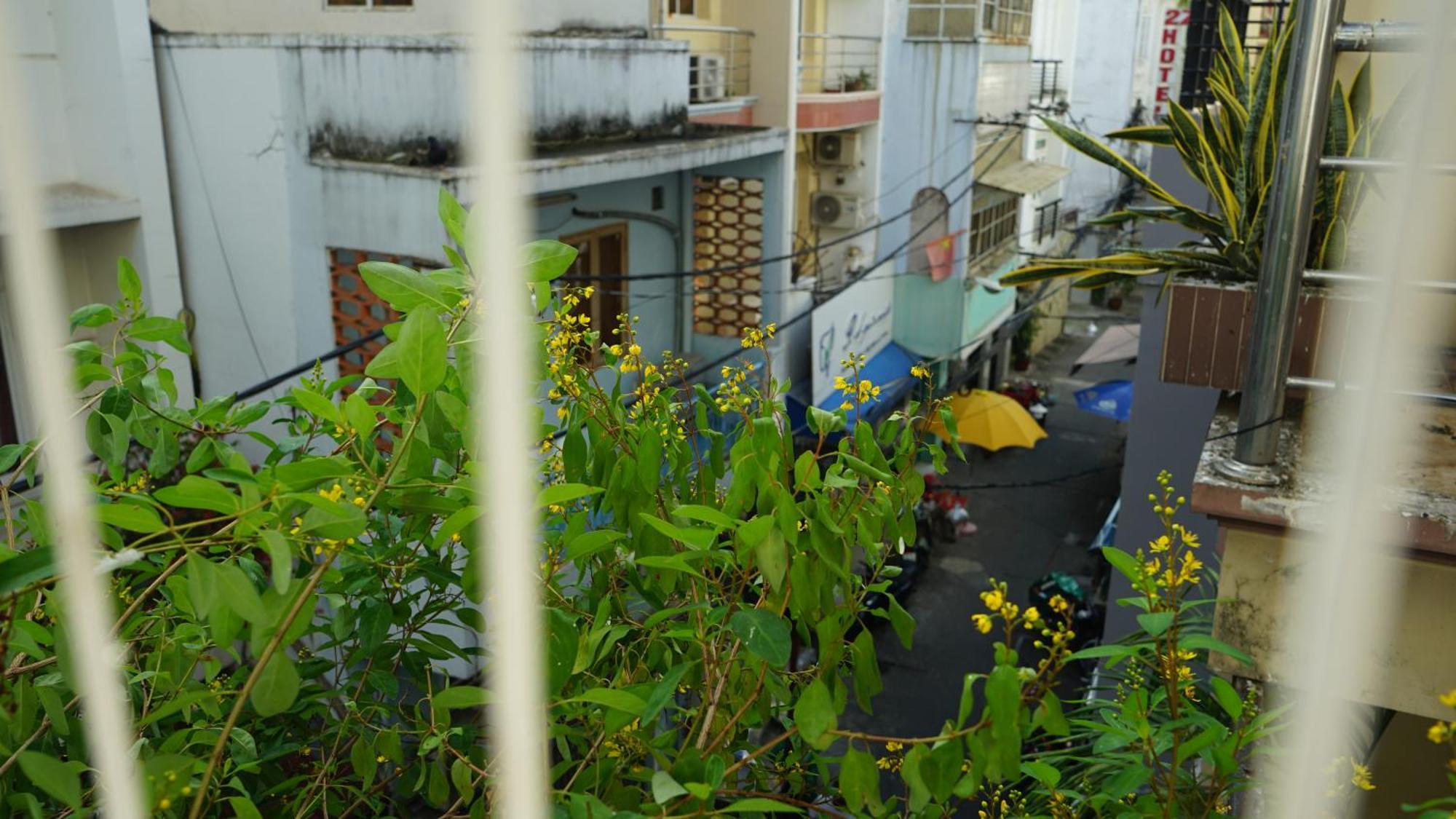 Maiam Homestay Ho Chi Minh City Exterior photo